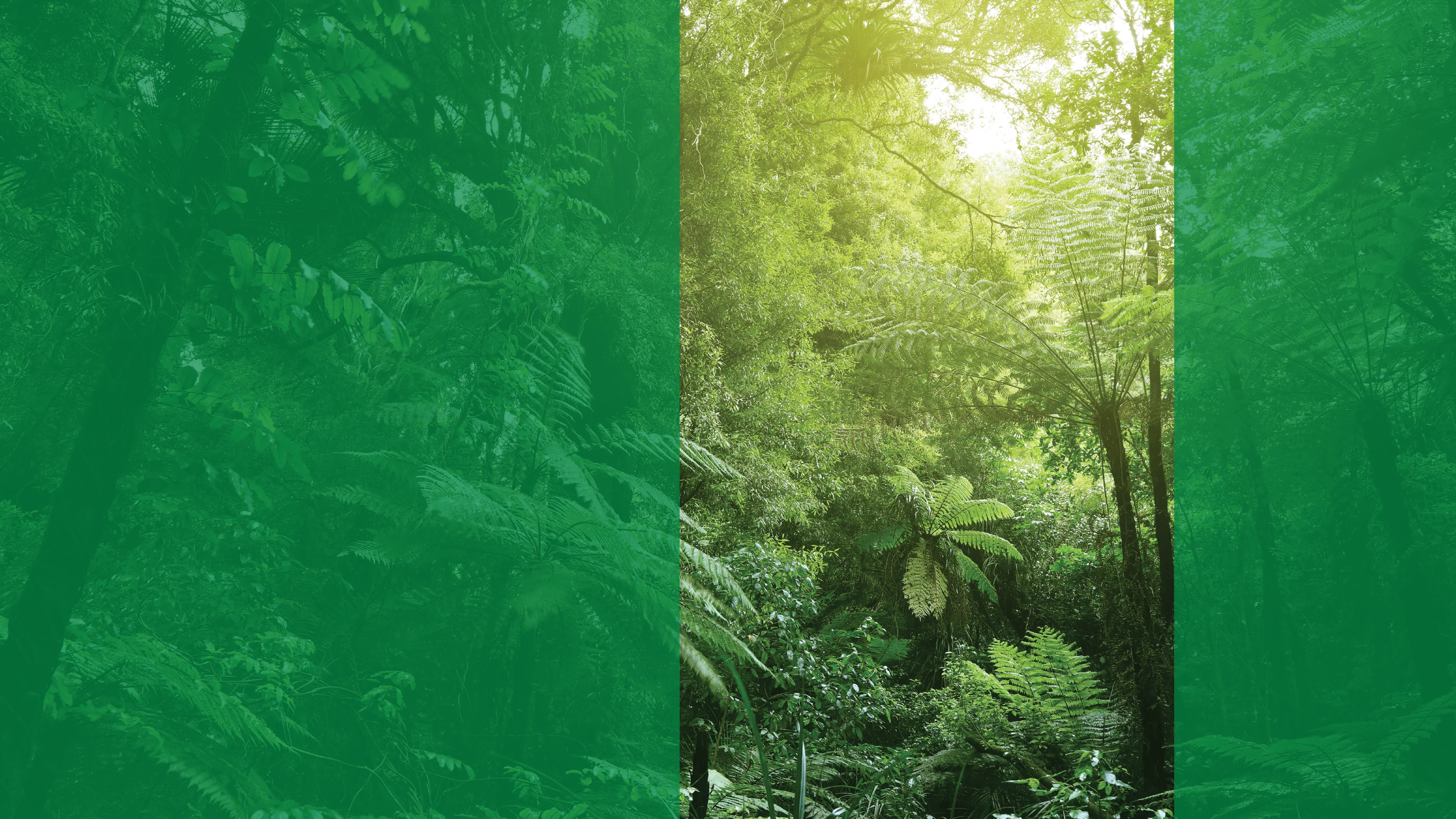 214Db Sustainability 2022 Web Banner V1 Bg